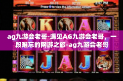 ag九游会老哥-遇见AG九游会老哥，一段难忘的网游之旅-ag九游会老哥