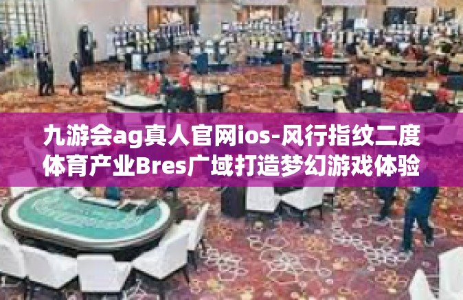 九游会ag真人官网ios-风行指纹二度体育产业Bres广域打造梦幻游戏体验 九游会AG真人官网IOS全接触-九游会ag真人官网ios